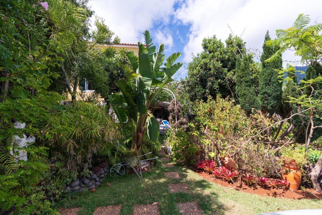 Cyane & Vigo'S Cottage, Caminho Do Massapez, N.º40 Arco da Calheta  Ngoại thất bức ảnh