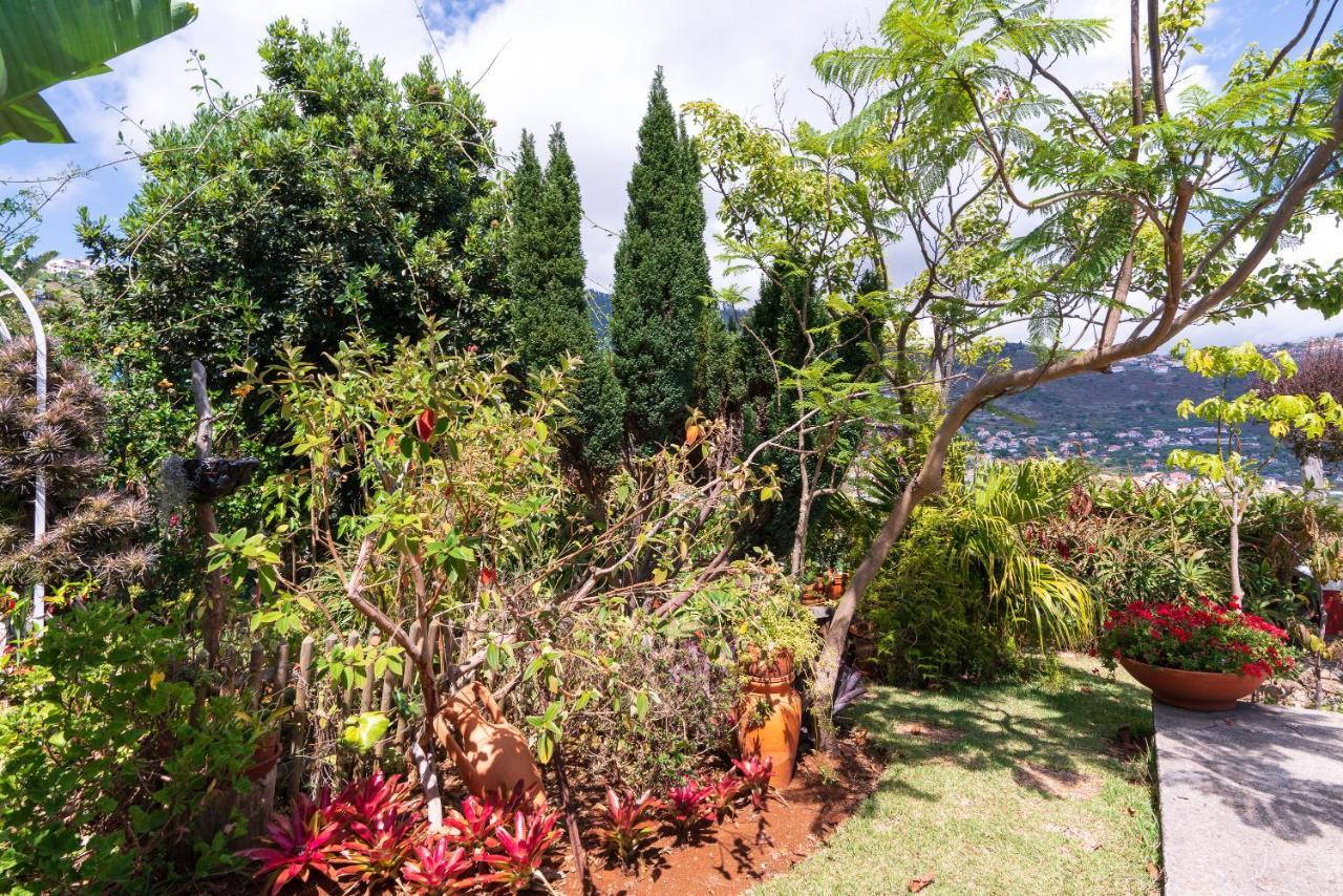 Cyane & Vigo'S Cottage, Caminho Do Massapez, N.º40 Arco da Calheta  Ngoại thất bức ảnh