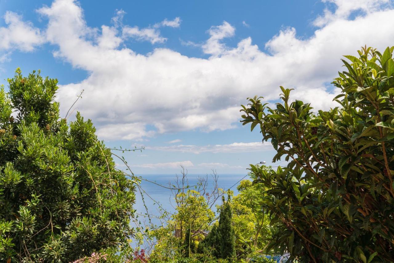 Cyane & Vigo'S Cottage, Caminho Do Massapez, N.º40 Arco da Calheta  Ngoại thất bức ảnh